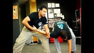 Promo: Learn Control Tactics and Joint Manipulations for Self Defense!
