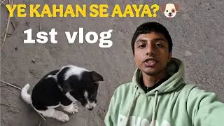 Bazar Jana Tha, Puppy Mil Gaya 🐶❤️ | Daily Vlog