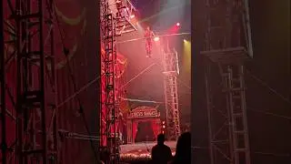 🎪 Amazing Aerial Spectacle! High Wire Performance at the Circus 🎪