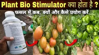 What Is Plant Growth Stimulator Bio Stimulant for Agriculture Use ?