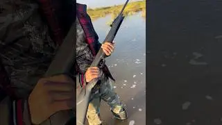 Airgun in Action  #hunting #automobile #carpfishing