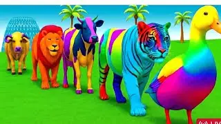 किसान और कबूतर की दोस्ती Kids Video Nursery rhymes world story #funnyvideos 