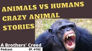 Episode #102- Animals vs Humans- Crazy Animal Stories both good and bad