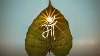pradeep_mukharji2612_vlogs सभी दोस्तों का स्वागत है 💐🙏🙏
