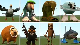 I PLAYED DEATH MATH GAME WITH ALL NEW ITALIAN BRAINROT MEMES INTERNET in Garry's Mod!