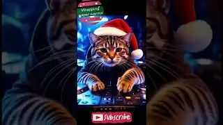 Wrapping paper warrior with DJ Kofi the cat EDM original song