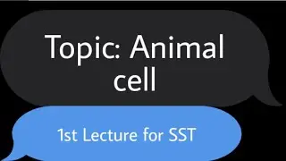 SST prepration Basic To advance science for those general and Science category.