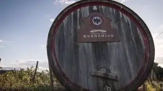 Tenuta del Buonamico, Cantina