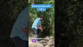 ​