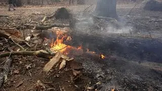 Fire crews on both US coasts battle wildfires; 1 death in New York-New Jersey fire