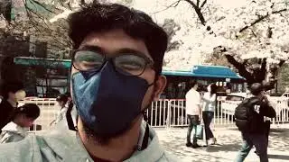Trip Recap - Yoido Park Han River (Hangang) Korea During Spring