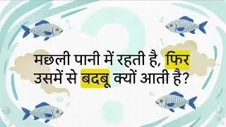 🐟 Machhli Se Badboo Kyun Aati Hai? The Science Behind 