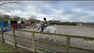 Isobel Haines Pip Walk Trot Jan 2026