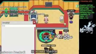 Day 1 of PokeNexus' 2025 Christmas Event