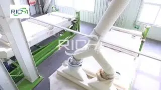 Compact Animal Feed Pellet Plant | Small & Medium Scale Solution
