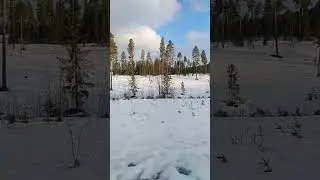 Walking in Norway ,Winstra #walking #respect #relax #beautifulnature #norway #snow