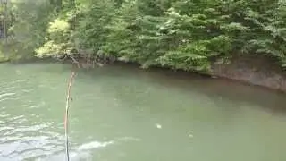 Raystown Largemouth Bass Fishing