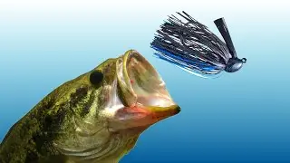 ‼️😲The best lure for heavy cover fishing! Hack Attack Jig. #fishing  #fyp  #viralvideo 