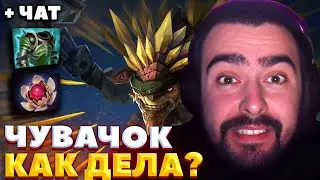 СТРЕЙ СПАЛИЛ С АВТОНАВОДКОЙ / СТРЕЙ ИГРАЕТ НА БРИСТЛЕ / СТРЕЙ ОСУЖДАЕТ #stray