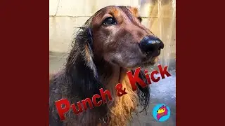 Punch & Kick