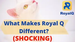 Royal Q Trading Bot - What Makes Royal Q Different?
