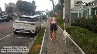 🚩 UM dos MELHORES BAIRROS de CURITIBA PARANÁ : Campina do Siqueira🥰