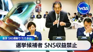 選挙候補者 SNS収益禁止　自民 SNS規制で「たたき台」【WBS】