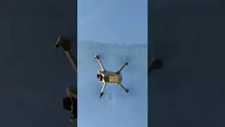 volando#drone #dog #flying