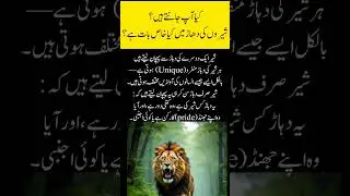 Unbelievable Lion Fact: How Lions Identify Each Other by Roar! #lionsfacts #funfacts #information