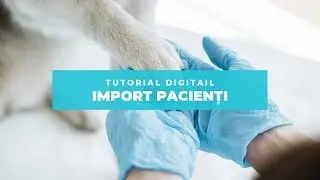 Import pacienti  Tutorial Digitail   Setari Personalizari