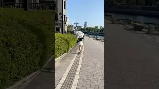 Хиросима - здание с куполом и набережная недалеко от эпицентра взрыва