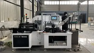 Collated Screw Assembly Machine &ndash; Fast Drywall Screw Belt Assembling (Up to 1200 pcs/min)