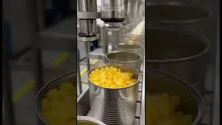 How Canned Corn Made! 🌽🥫 #fruits #fruit #productionfacility #satisfying #corn