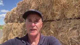 Rural Aid updating from the north-west Queensland flood zone - 8 January 2026