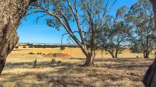 Kapunda - Live The Dream!!!  - Julia Smith