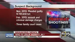 Who is Phoenix freeway shooting suspect?