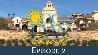 Episode 2: Business