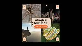 Which is your Phobia?