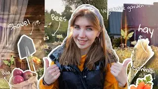 English vocabulary in the village | how does Ukrainian village look like?