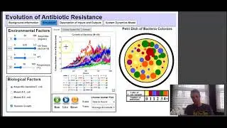 Evolution of Antibiotic-Resistance Simulation