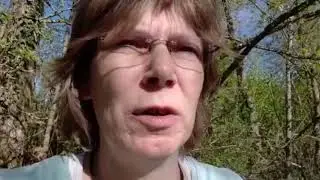Unser neues Thema im Sachunterricht (4b)