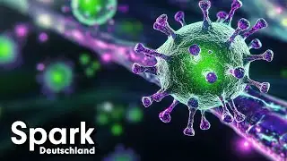 Biologische Kriegsf&uuml;hrung 2.0: Der unsichtbare Feind in unserem K&ouml;rper | Doku