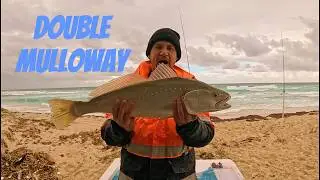 BACK-TO-BACK MULLOWAY &ndash; What a Night on the Beach!