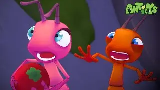 El Ingenio Contraataca | &iexcl;Compilaciones de Antiks en Espa&ntilde;ol! | Dibujos Animados | Videos para ni&ntilde;os