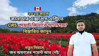 Canada PR 2025: Express Entry পয়েন্টের হিসাব ও টিপস | CRS Points for Express Entry Explained