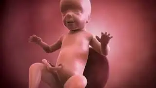 Your baby at 26 weeks | Week-by-week pregnancy | MadeForMums