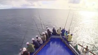 Rio Mare Tonno Pescato a Canna