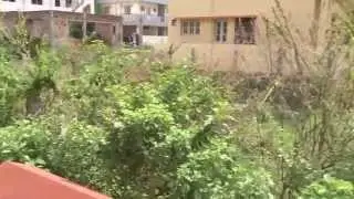 2400sqft Land for Sale @1.39Cr in Begur Road, Bangalore Refind:27756