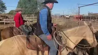 Payday - Southern Belle Classic
