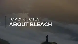 TOP 20 Quotes about Bleach | Daily Quotes | Inspirational Quotes | Quotes for You